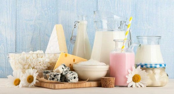 You Don’t Need Dairy Products For Strong Bones | Cabot Health